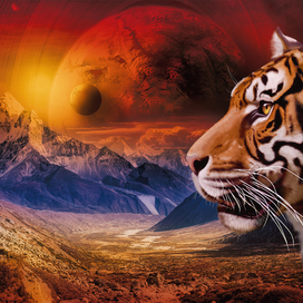 красная планета