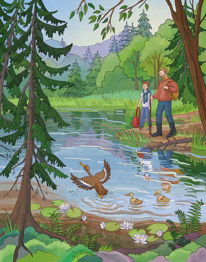 лесное озеро