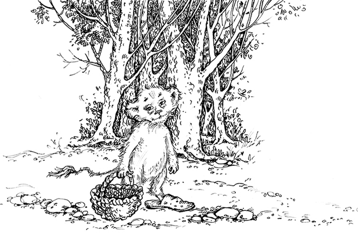 Пушок и Пушистый_за земляникой