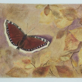 "Последняя бабочка"