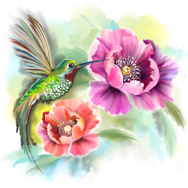 Колибри в цветах 