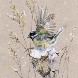 "Морозный чертополох"