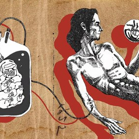 Тихоходка Набокина