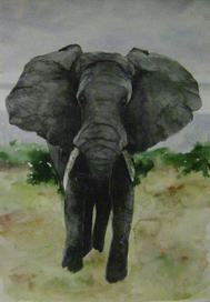 мой любимый слон.