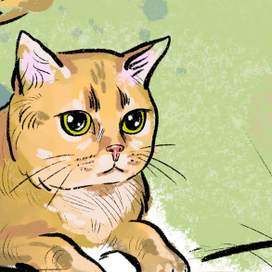 золотистый котенок