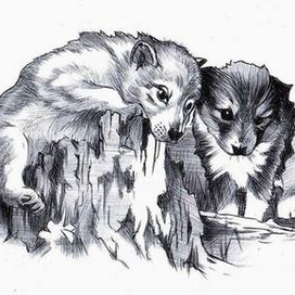 Молниеносный. 9-0