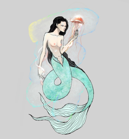 Иллюстрации 