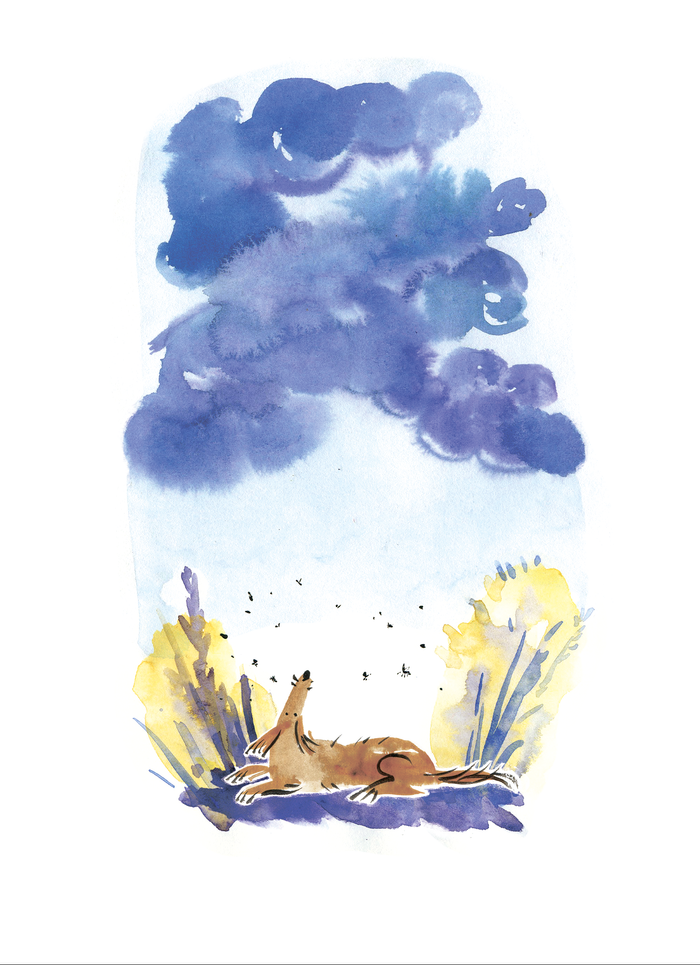 Перед грозой