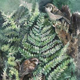 Утром после дождя