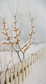 Облепиха под снегом