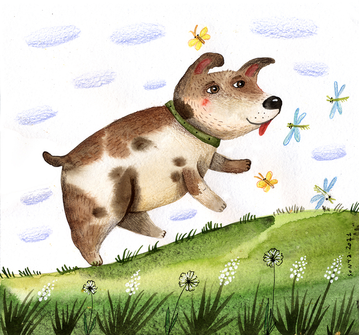 Пухлый щенок