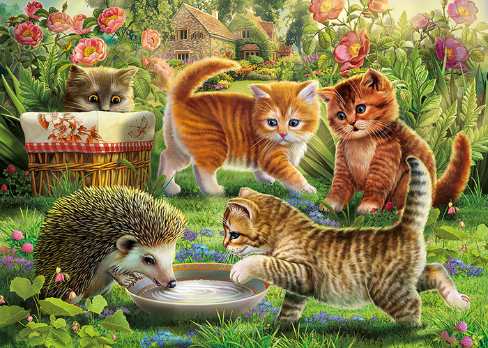 нежданный гость