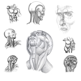  "Из Хогарта"