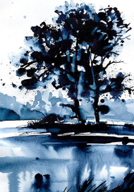 На берегу озера