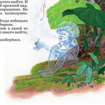 "Ягуар-гаримпейру" разворот №15