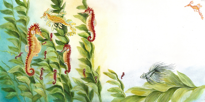 "Приключения принцессы-рыбки"