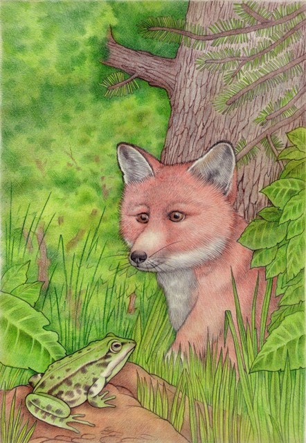 Привет,ты кто?