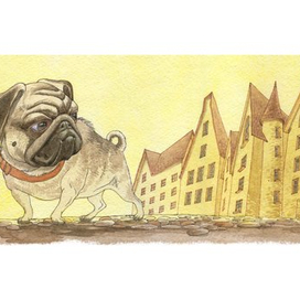 Английские сказки