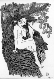 Цвета воронова крыла (серия «Славянская эротика»)