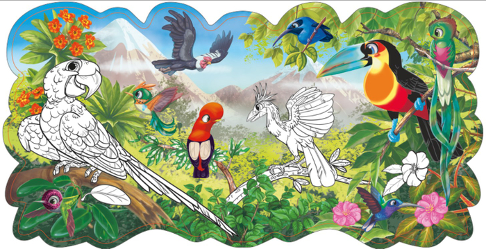 Птицы Южной Америки