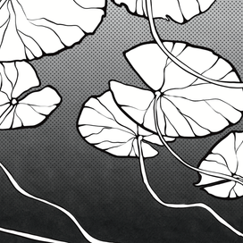 Графика для мерча