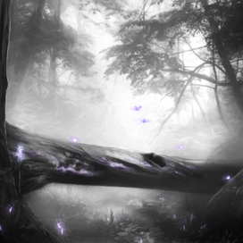 "В Салеме не сжигают ведьм"