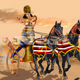 Нейт - лучница