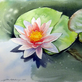 ЛИЛИЯ к 8 марта.