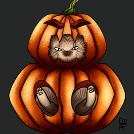 Осенний котик 