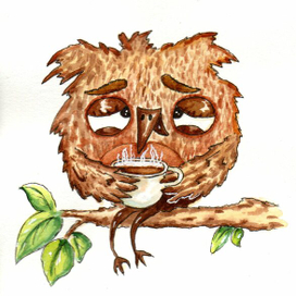 Сова с кофе