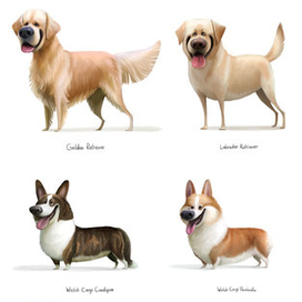 Собаченьки-3