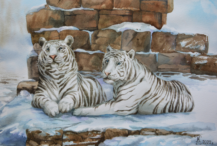 Белые тигры 