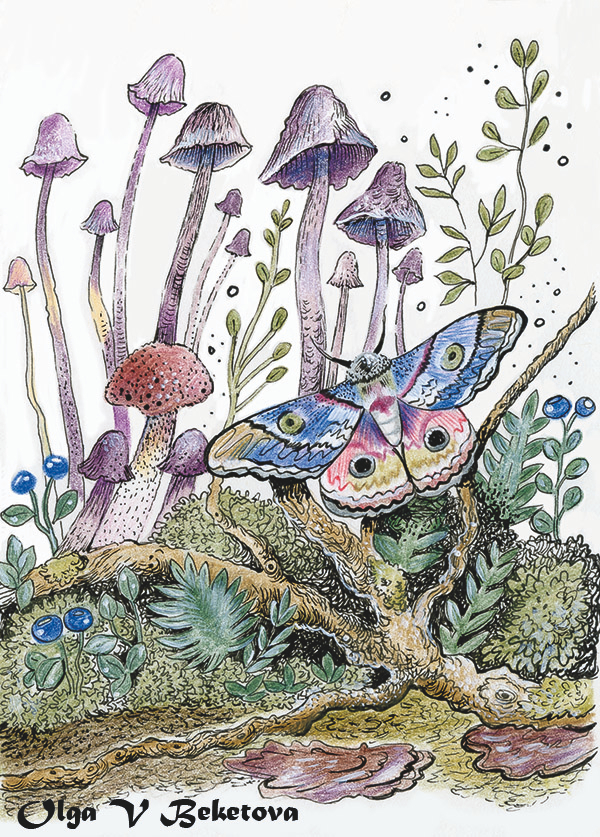 В лесной чаще