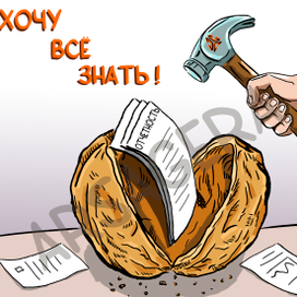 Отчетность для инвестора