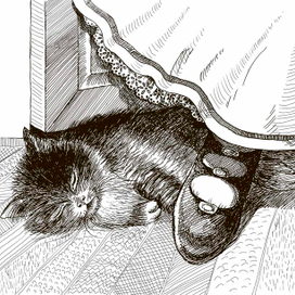 Ника заболел.