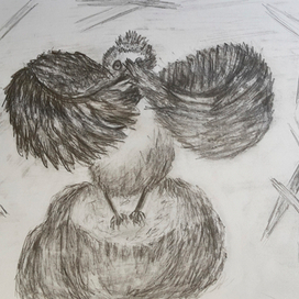 Птица смущака-стесняка