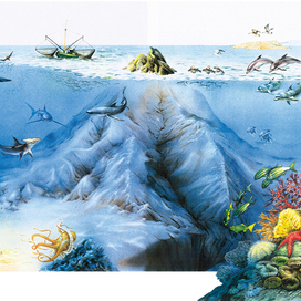  детская энциклопедия