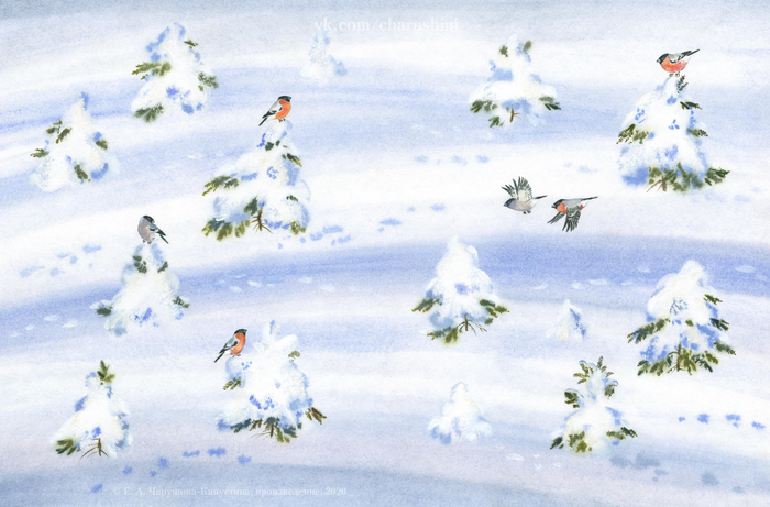 Форзац к книге Е. И. Чарушина "Удивительные приключения маленького охотника"