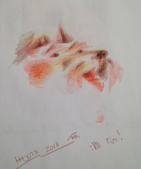 Серия ДЛ и И