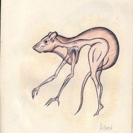 Химера " Крыса"