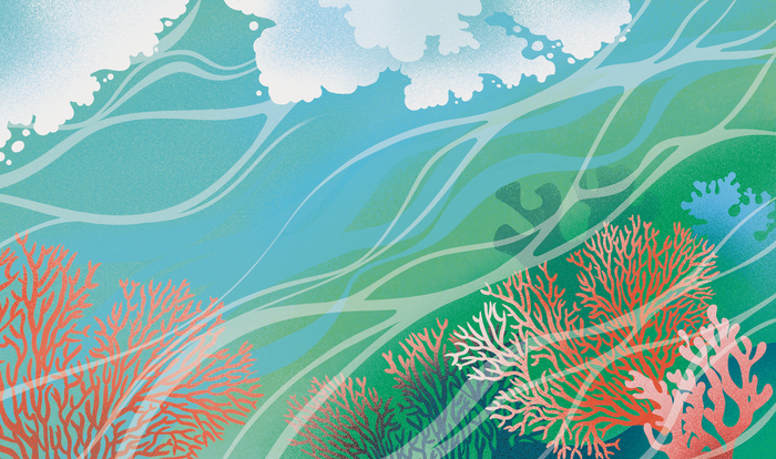 Обложка. Сборник поэзии Новеллы Матвеевой