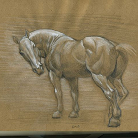 коньььььььь