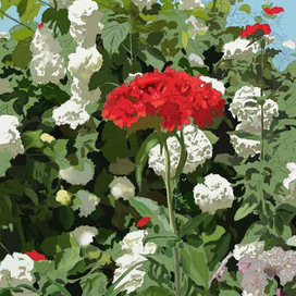 Вспоминая лето