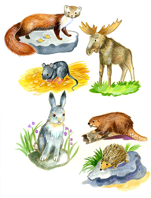 Мамины уроки. Лесная полянка