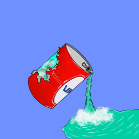 Море в каждой банке