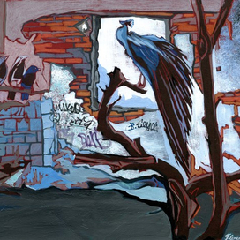 Все не то, чем кажется.