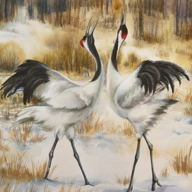 Белый танец 