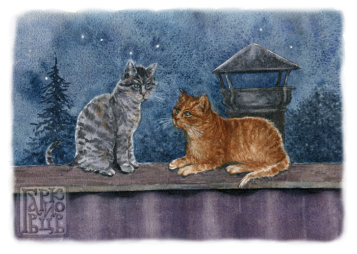 Коты на крыше