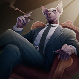 Кот ждет феликс