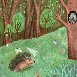 Любитель прекрасного